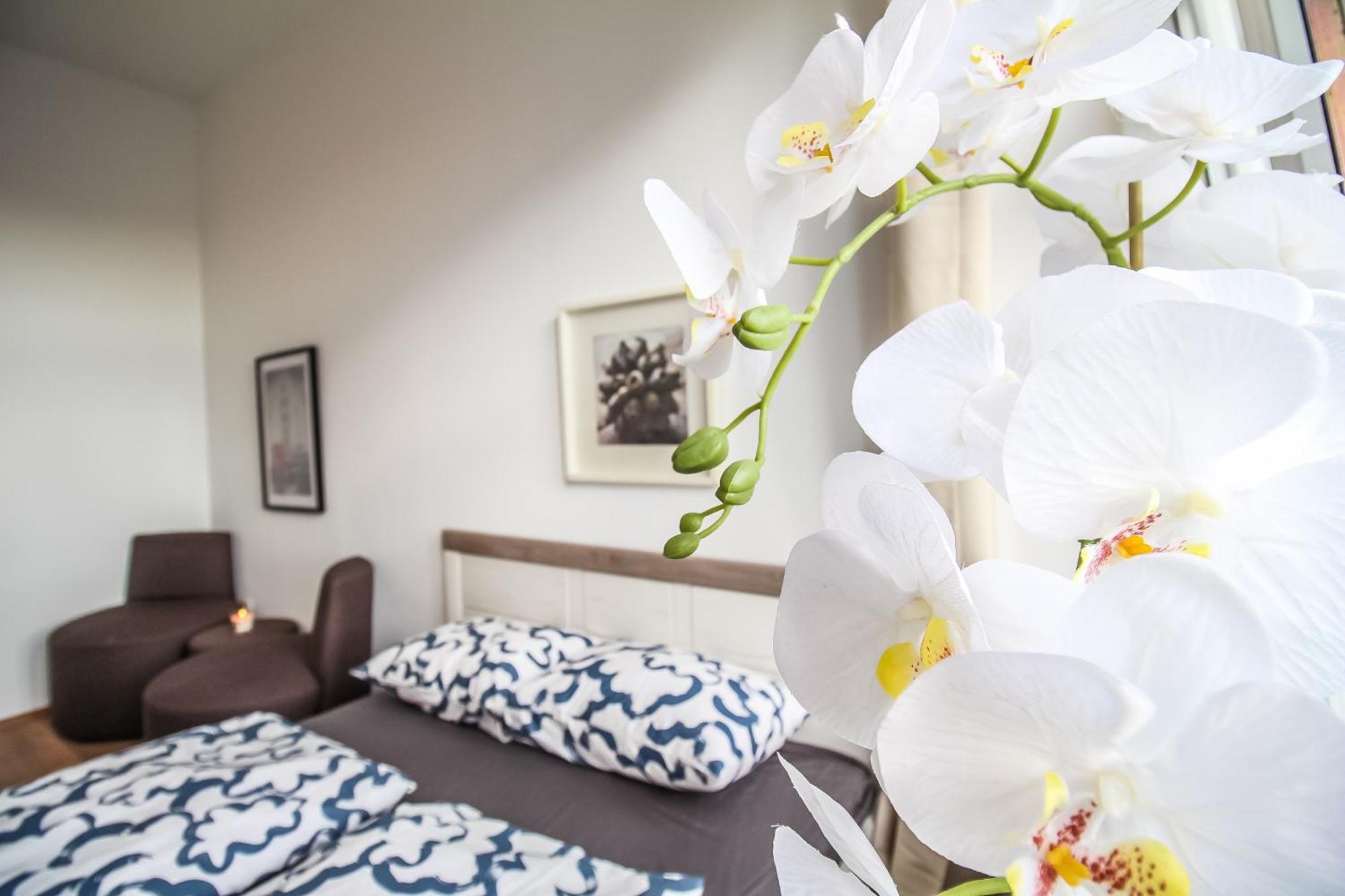 Disc Cozy Rooms In Liesing Відень Екстер'єр фото